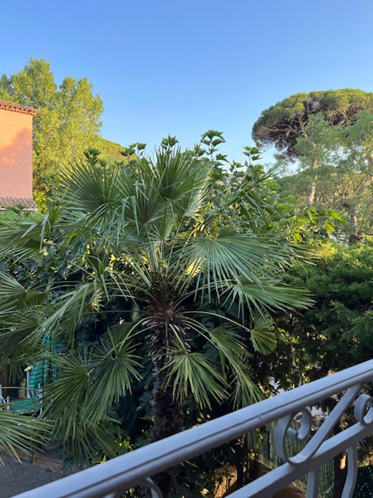 Superbe Appartement Terrasse Et Parking Prive Saint Tropez Bagian luar foto